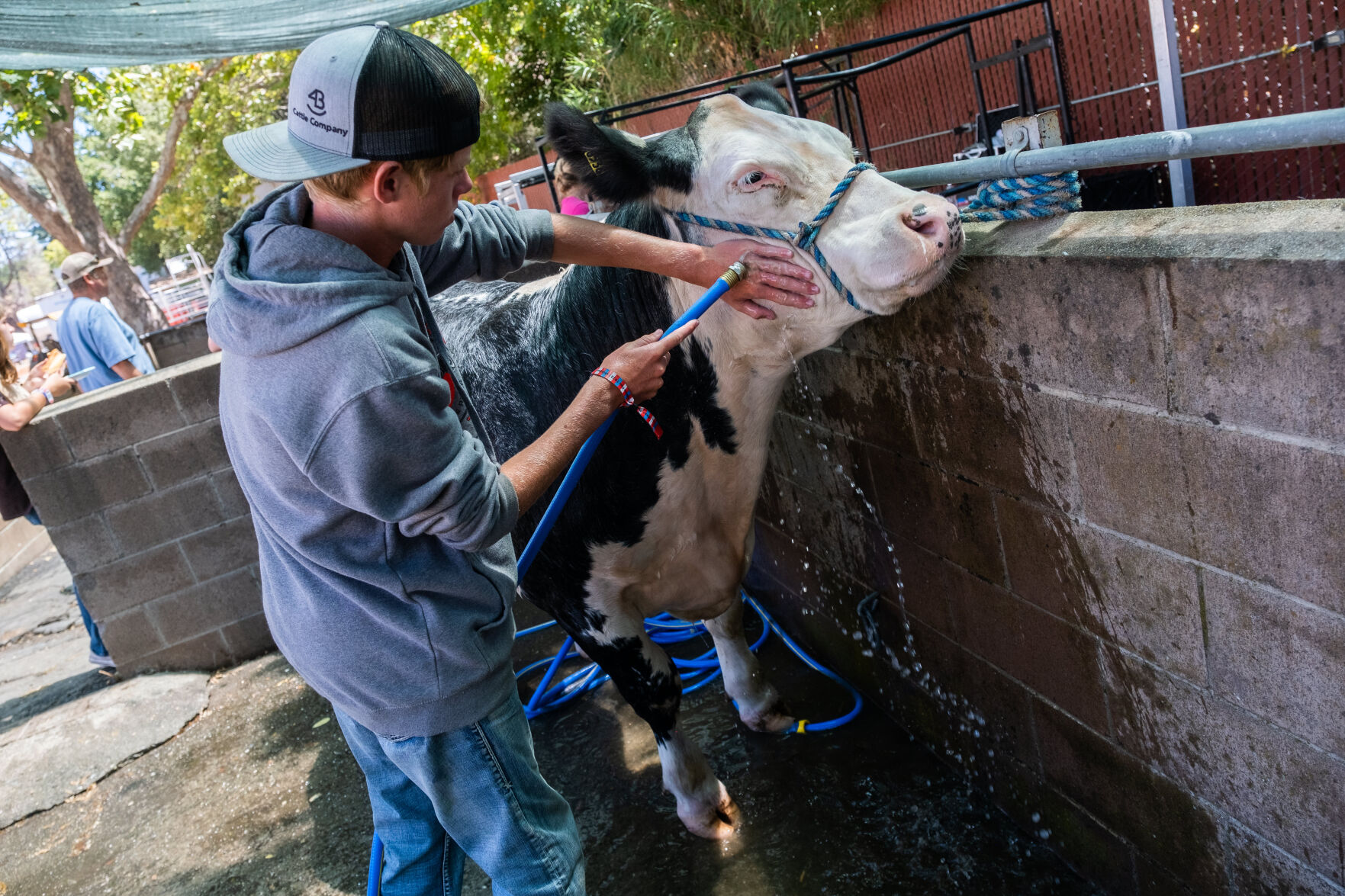 4-H at the Fair